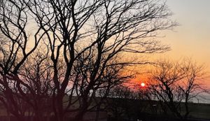 Photo 19- click for photo gallery